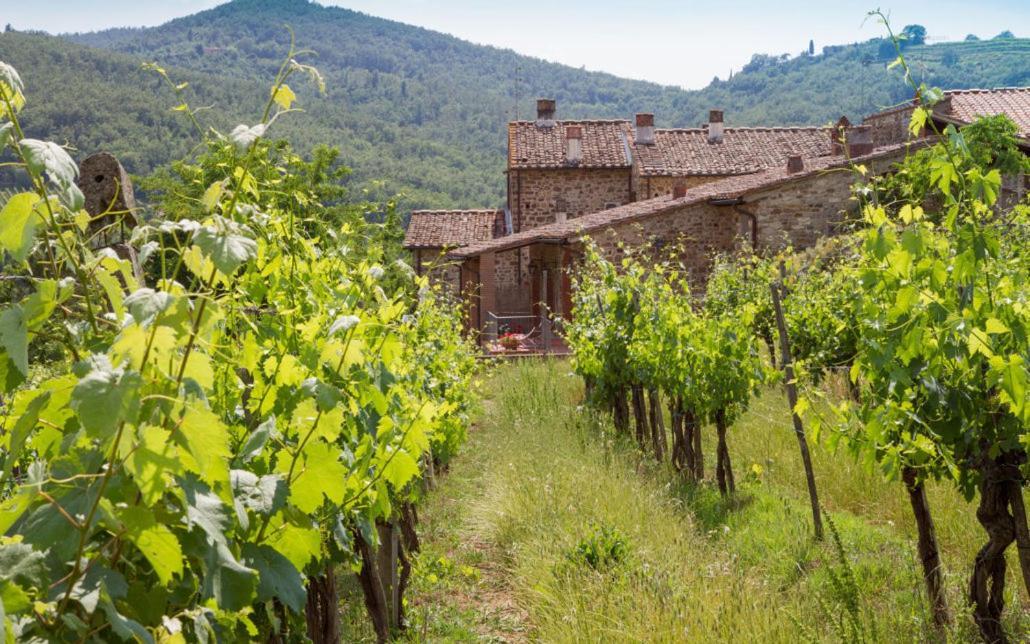 Le Masse Greve in Chianti Kültér fotó